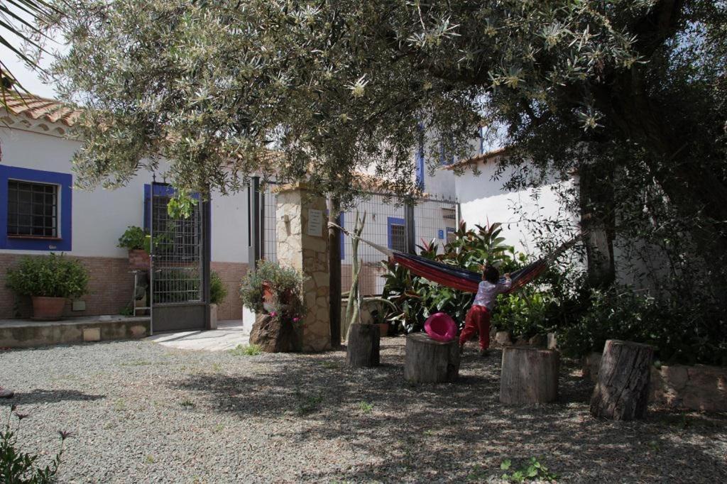 Casa Rural La Noria La Escucha Eksteriør bilde